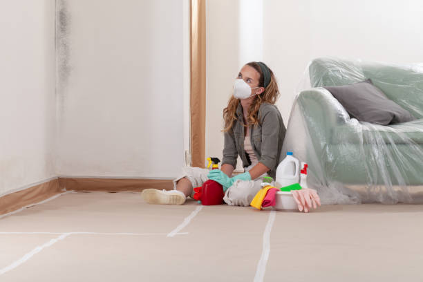 Reliable Black Mold Remediation contractor in Ledgewood, NJ by Car Mold Remediation